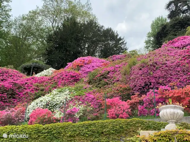 Porto Letizia - Apartamento P6 en Italia, Lagos italianos, Porlezza - apartamento Primavera!
Primavera en los jardines de Villa Carlotta en Tremezzo