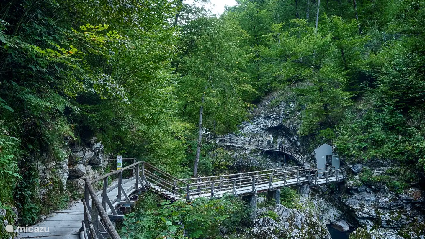 Vintgar (von Henk Schmitz)