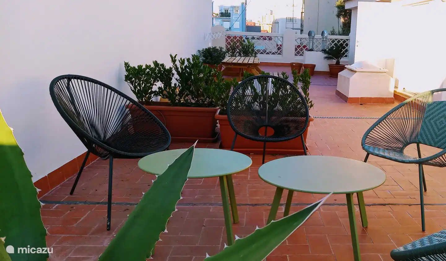 Die Terrasse verfügt über 3 Sitzecken, zwei Picknicktische und zwei Sonnenliegen.