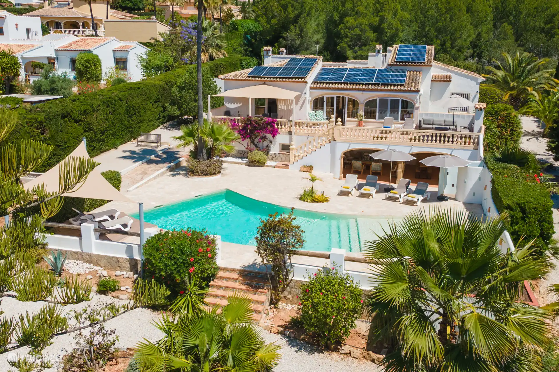 El oasis