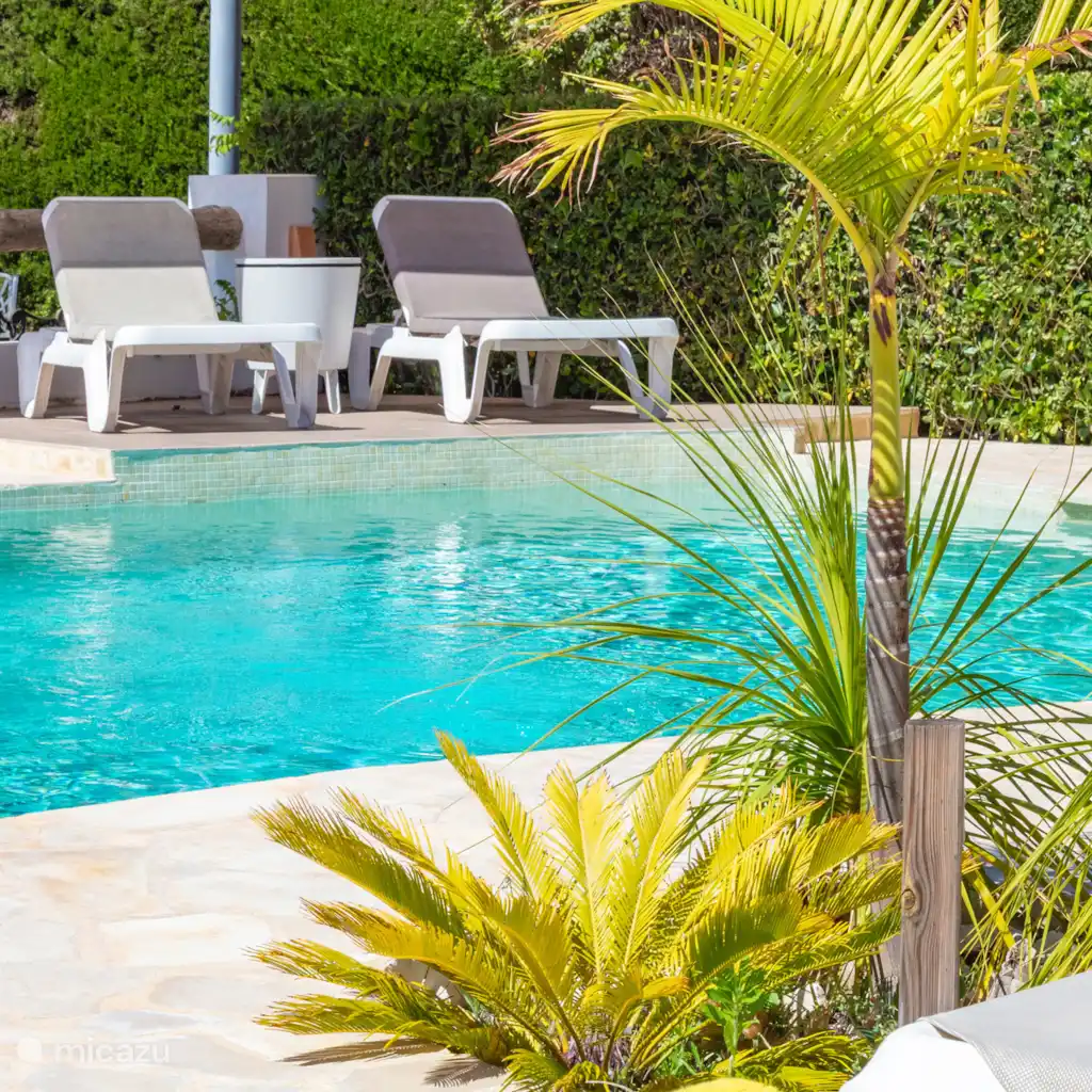 MontgoPalms - De mediterrane oase