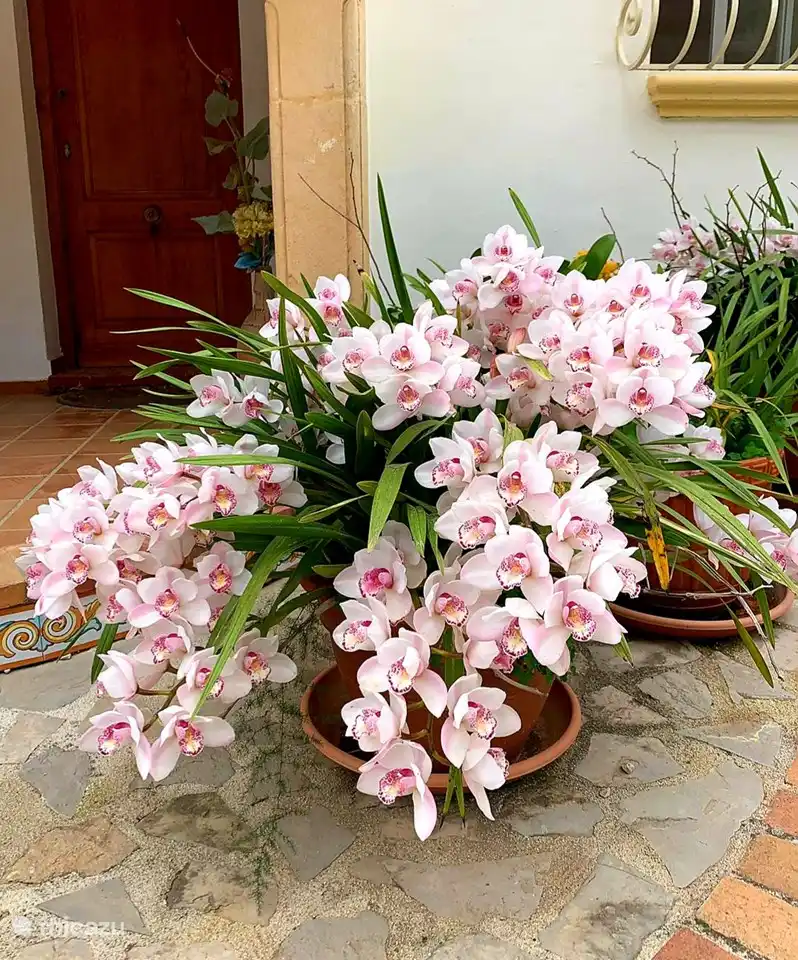 Bienvenue au printemps.