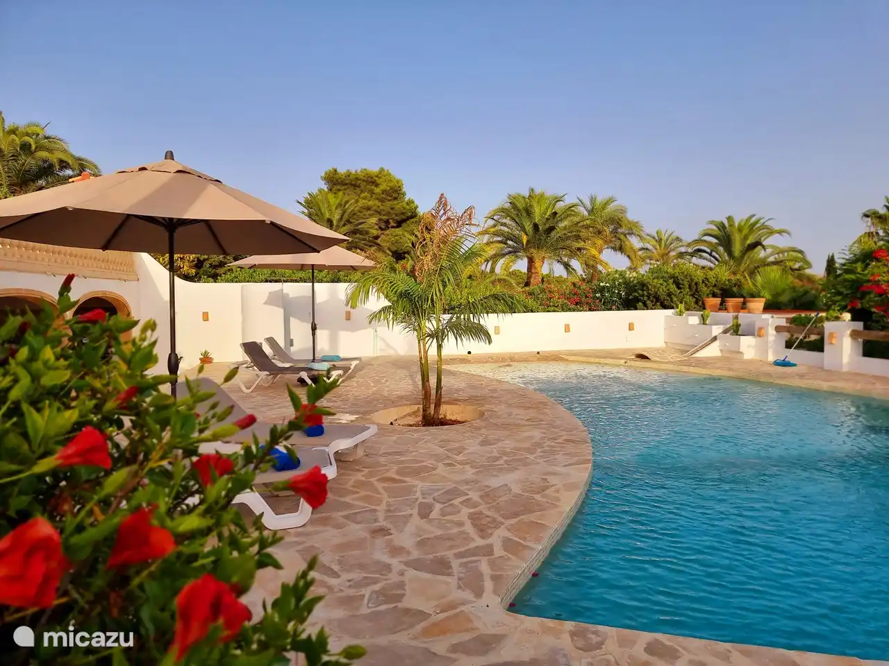 Voulez-vous du soleil ou voulez-vous de l'ombre ?