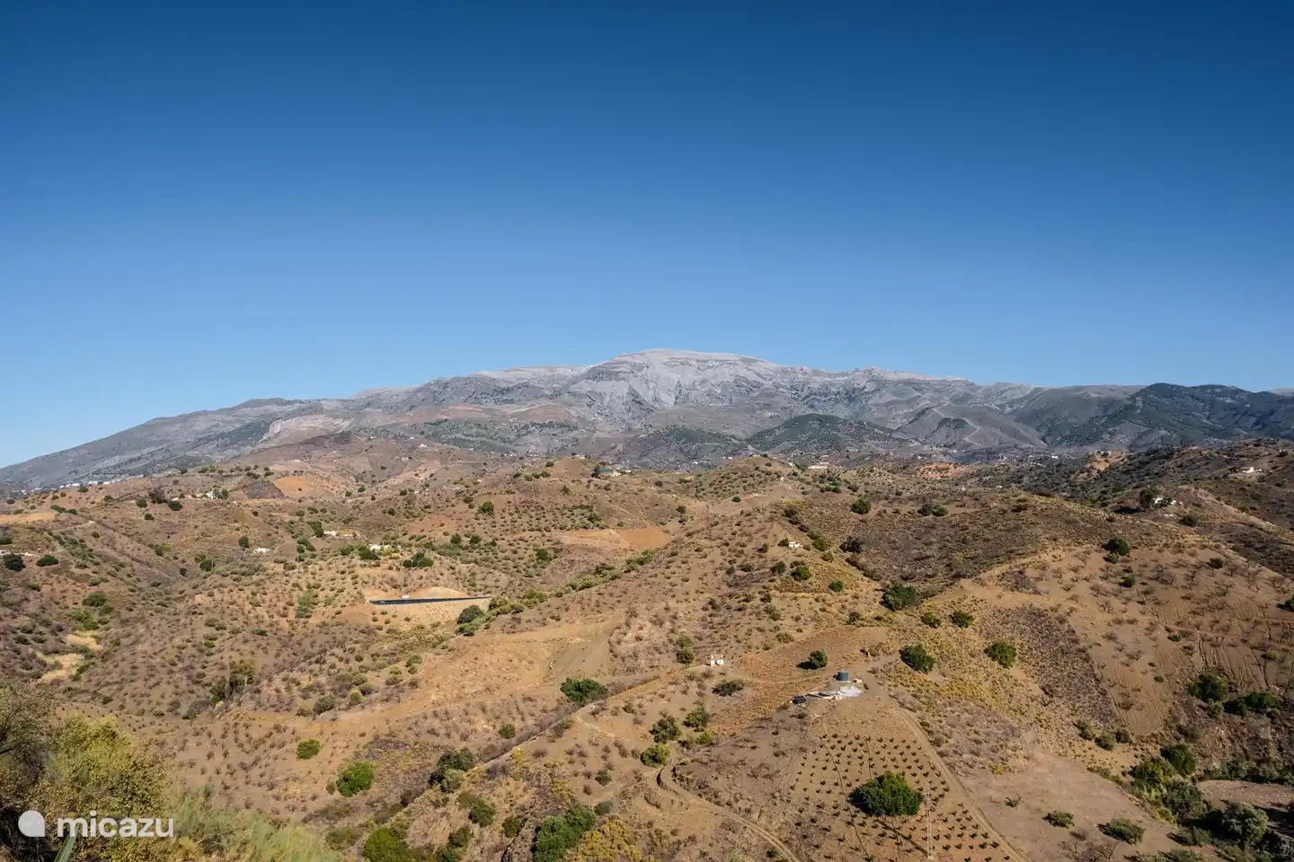 Verschiedene Vögel zu entdecken