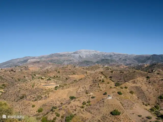 Casa Joro en pleine nature | Espagne, Andalousie, Arenas - villa Divers oiseaux à repérer