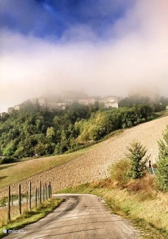 The road to LaMiKasa under the watchful eye of the serene Force... sometimes shrouded in fog...