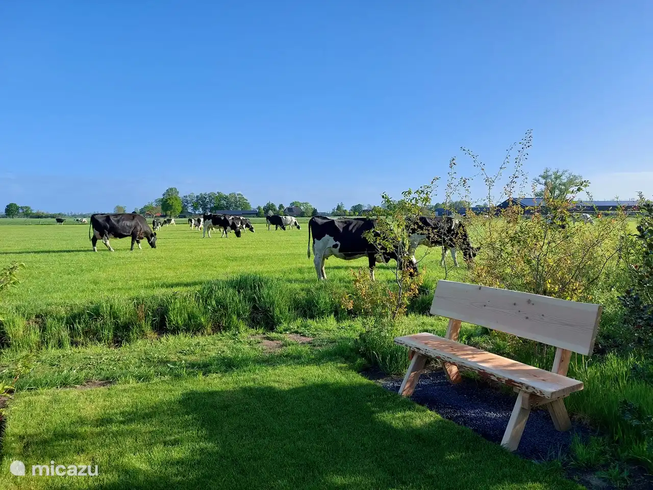 Den Sonnenuntergang oder die Kühe auf der Wiesenbank genießen