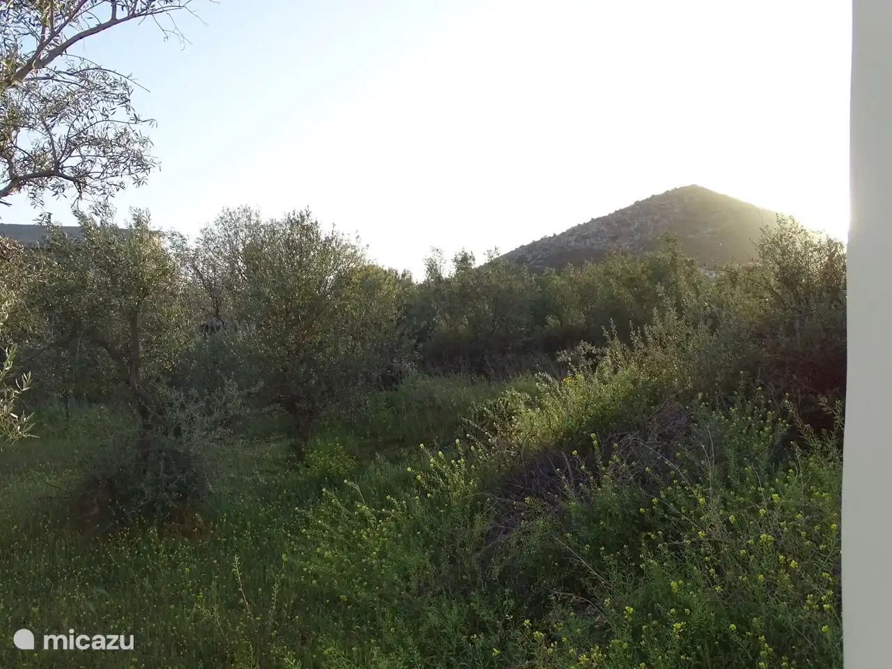 mountain Milo can be seen from the terrace where the sun sets beautifully in the evening