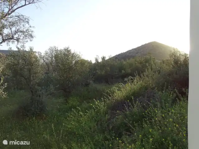 Villa Novina | Grèce, Égine, Salamina - villa Le mont Milo est visible depuis la terrasse où le soleil se couche magnifiquement le soir