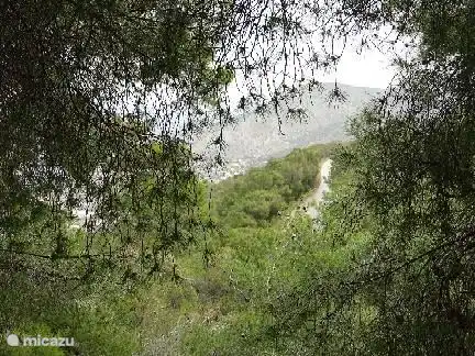 south side of Salamina