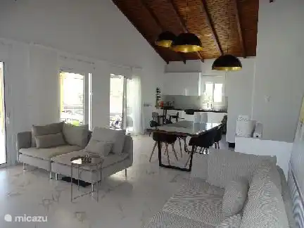 Spacious modern living room