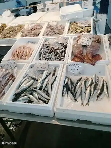 fish hall on the boulevard, fresh fish every day