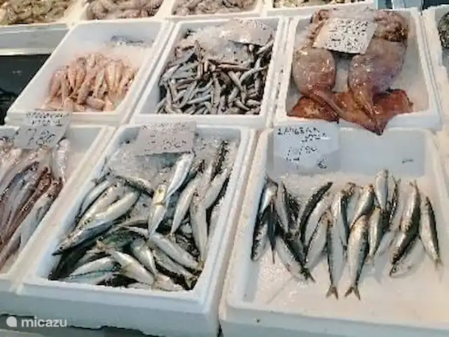 Villa Novina | Grèce, Égine, Salamina - villa marché aux poissons sur le boulevard, poisson frais tous les jours