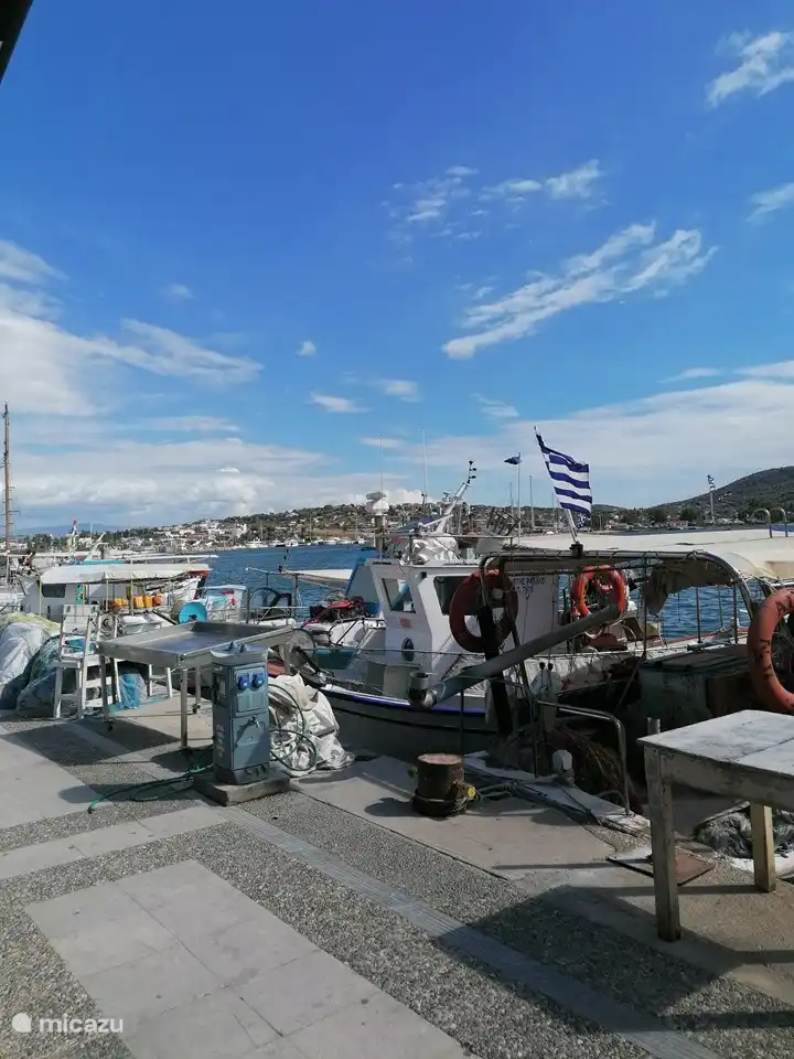 Fishing boats set out every day for fresh fish.