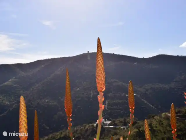 Studio Acacia huren in Spanje, Andalusië, Viñuela - studio Uitzicht