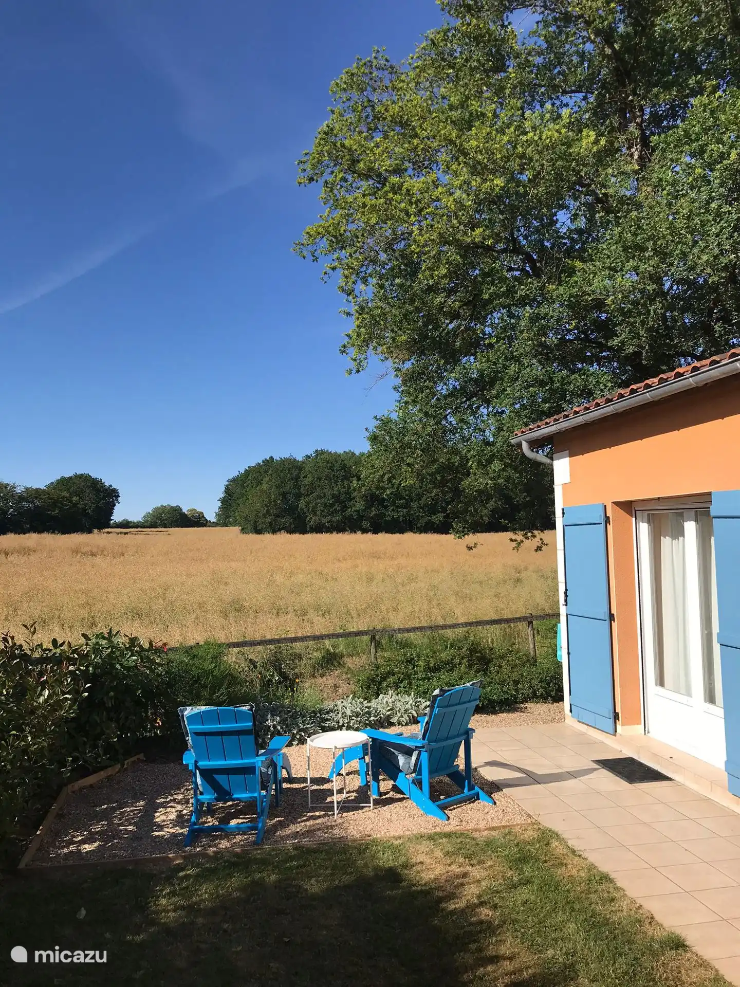 Les cerfs passent tous les jours.