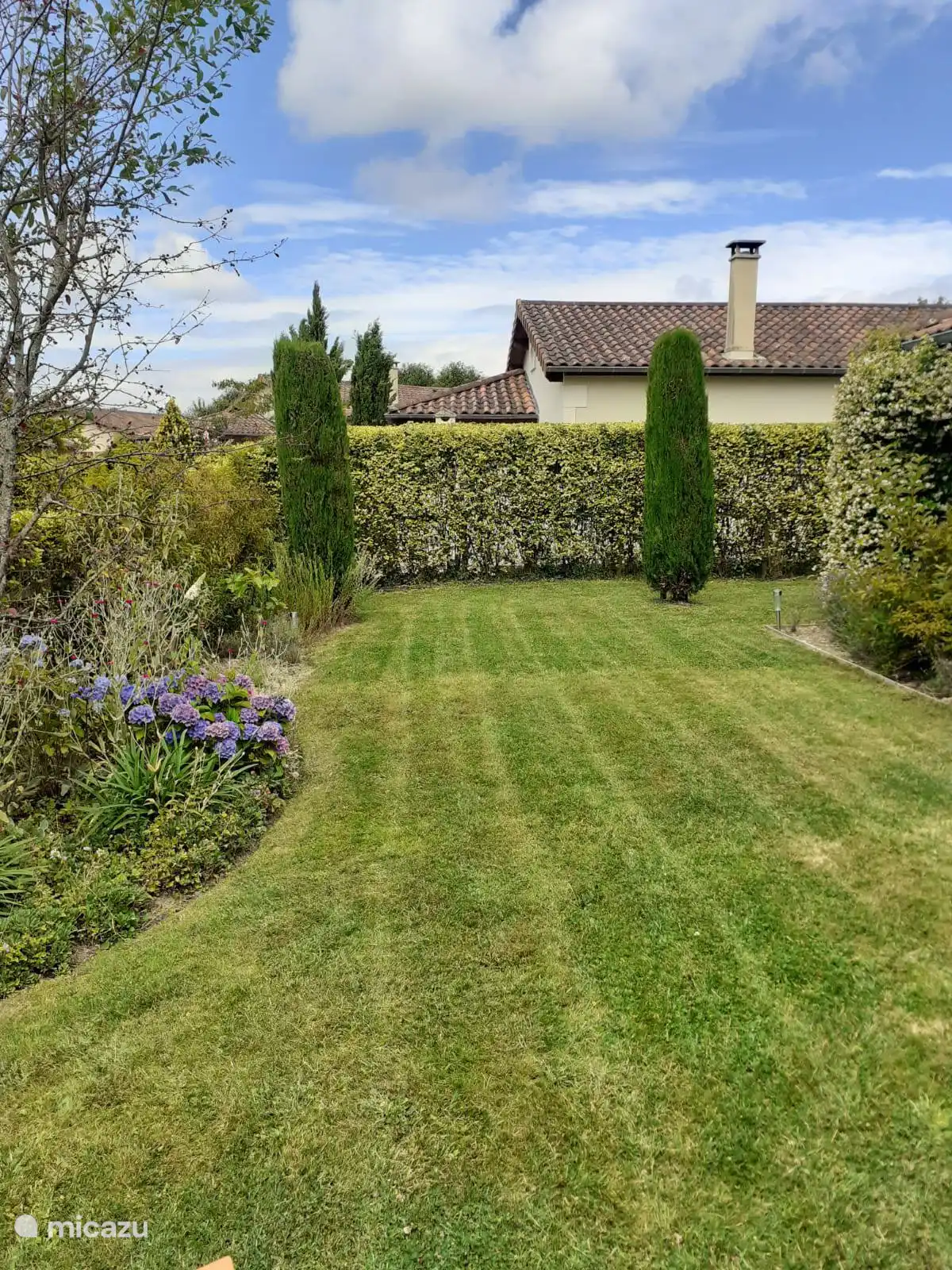 Schöner gepflegter Garten