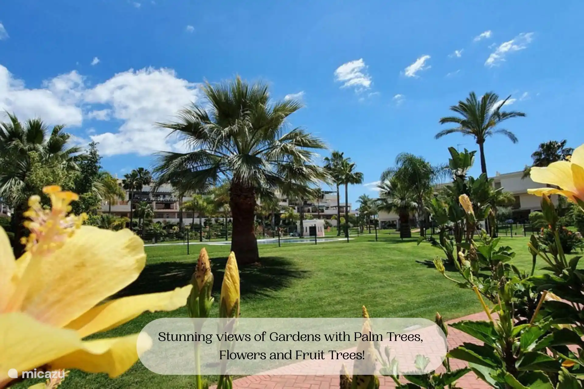 Gartenblick von der Terrasse aus