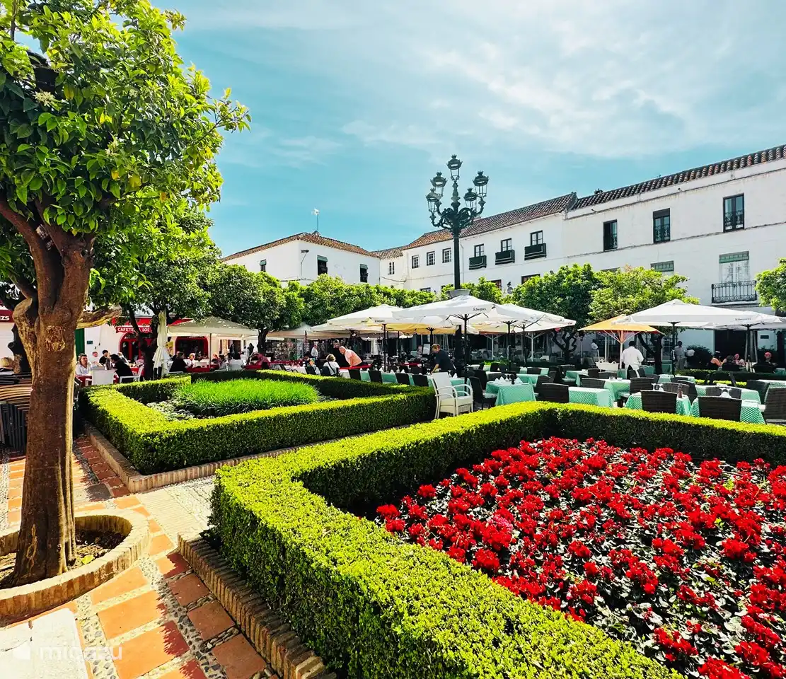 Berühmte Plaza de Naranjos mit Dutzenden von Orangenbäumen und schönen Terrassen