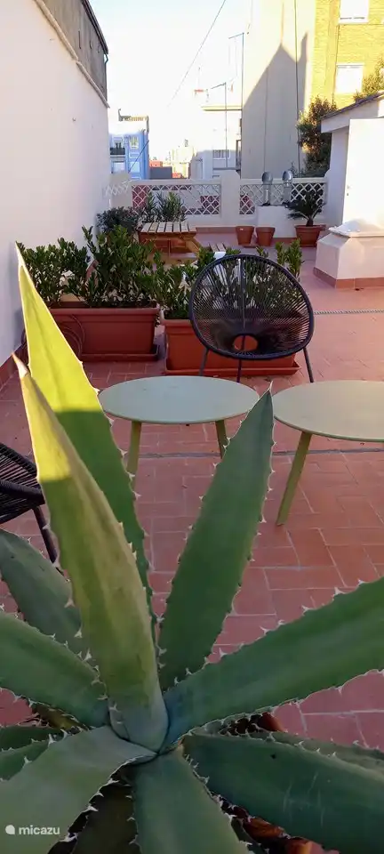Dachterrasse Valencia