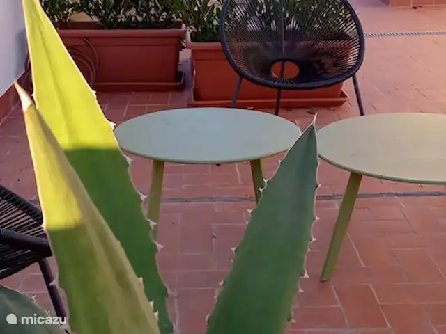 Tres Reinas Valencia - Reina 1 huren in Spanje, Valencia, Valencia (stad) - appartement Rooftop terras Valencia