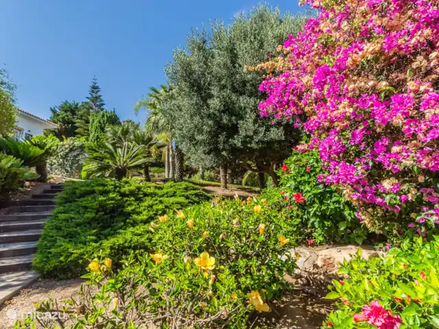 Location de Vacances Espagne, Costa Tropical, Salobreña, villa - Villa El Pino Villa El Pino