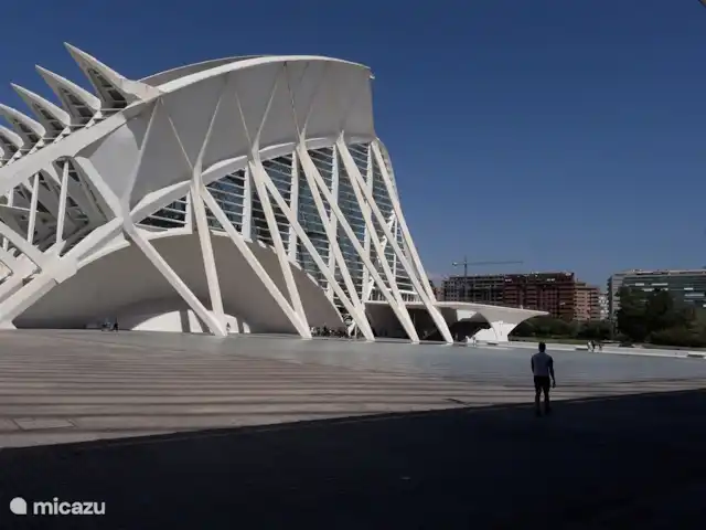 Tres Reinas Valencia - Reina 2 huren in Spanje, Valencia, Valencia (stad) - appartement Ciudad de las Artes y las Ciencias (CAC) - de Stad van de Kunsten en de Wetenschap, mag je bij een bezoek aan Valencia's niet missen. Ciudad de las Artes y las Ciencias is ontworpen door Santiago Calatrava, een uit Valencia afkomstige architect.