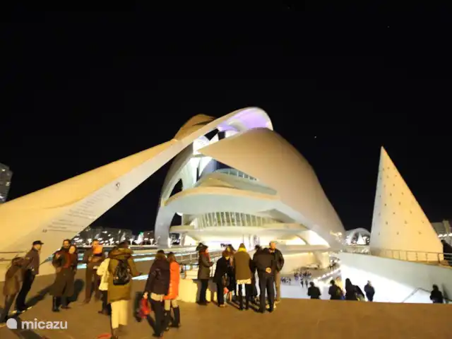 Tres Reinas Valencia - Reina 2 huren in Spanje, Valencia, Valencia (stad) - appartement De Stad van de Kunsten en de Wetenschap, is een van Valencia's meest toonaangevende bezienswaardigheden. Ciudad de las Artes y las Ciencias is ontworpen door Santiago Calatrava, een architect uit Valencia.