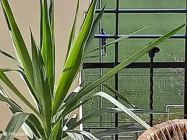 Tres Reinas Valencia - Reina 2 huren in Spanje, Valencia, Valencia (stad) - appartement Vanaf het terras heb je uitzicht op het voetbalveld van de voetbalschool en daarachter zie je de zee.