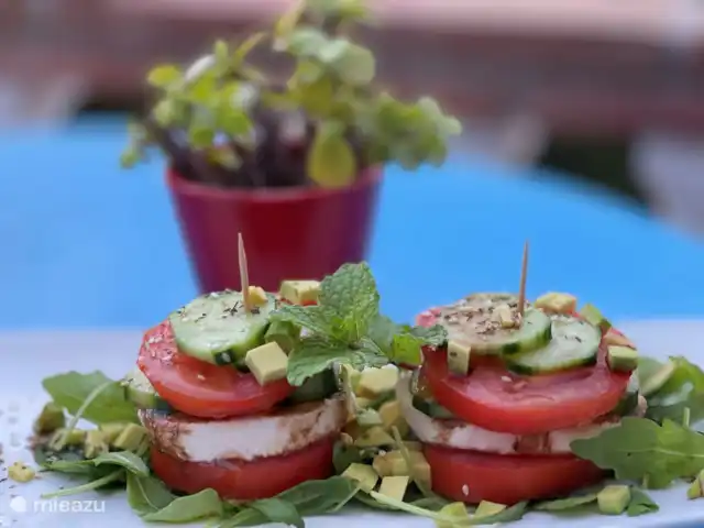 Estudio Risa en España, Andalucía, Viñuela - studio Desayuno