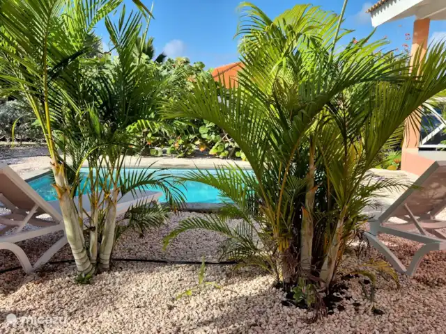 Kas Koral *Complexe Sécurisé* | Curaçao, Banda Abou (ouest), Fontein - maison de vacances