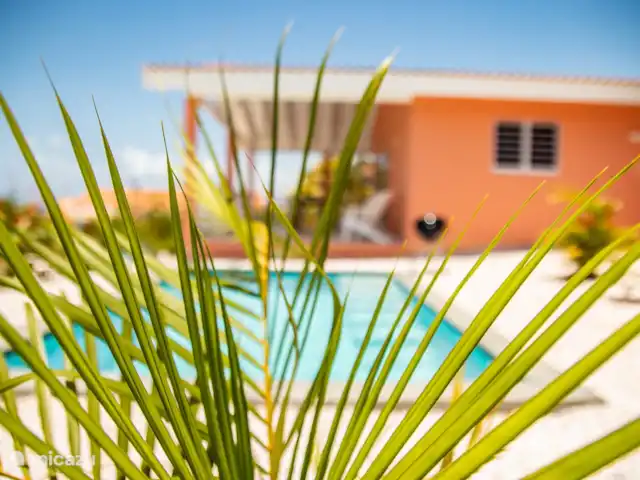 Kas Koral *Complexe Sécurisé* | Curaçao, Banda Abou (ouest), Fontein - maison de vacances
