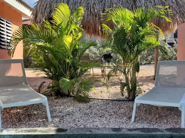 Kas Koral *Complexe Sécurisé* | Curaçao, Banda Abou (ouest), Fontein - maison de vacances