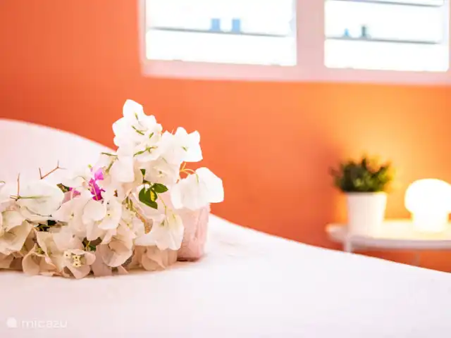 Kas Koral *Complexe Sécurisé* | Curaçao, Banda Abou (ouest), Fontein - maison de vacances