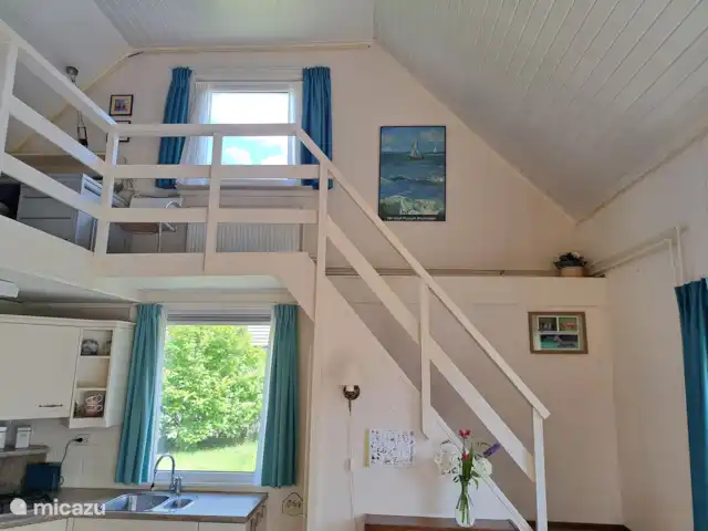 maison de vacances | Pays-Bas – Le merle noir