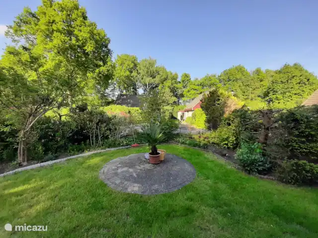 maison de vacances | Pays-Bas – Le merle noir