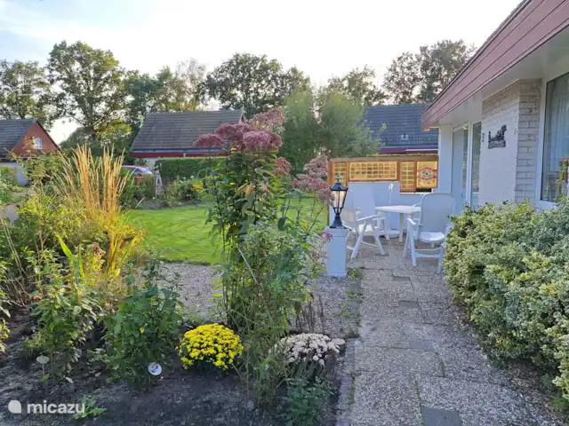 maison de vacances | Pays-Bas – Le merle noir
