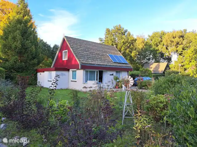 maison de vacances | Pays-Bas – Le merle noir Fin de l’été