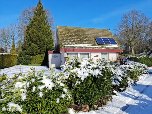 maison de vacances | Pays-Bas – Le merle noir