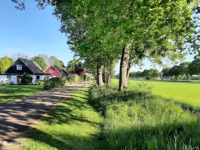 maison de vacances | Pays-Bas – Le merle noir
