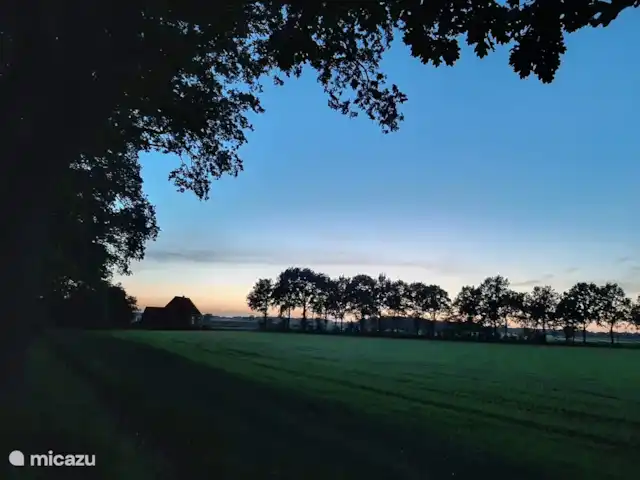 maison de vacances | Pays-Bas – Le merle noir