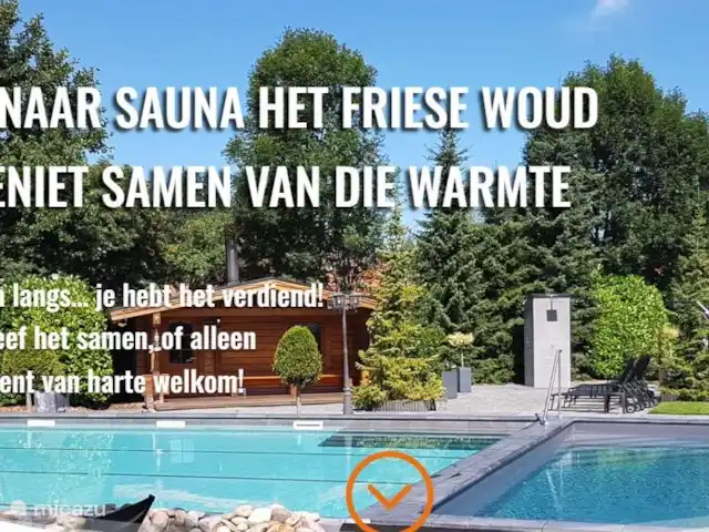 maison de vacances | Pays-Bas – Le merle noir Sauna à Boijl