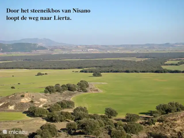 Location de Vacances Espagne, Aragon, Lierta (La Sotonera), maison mitoyenne - Casa La Fuente Nisano, la plus grande forêt de chênes verts d'un seul tenant en Aragon.