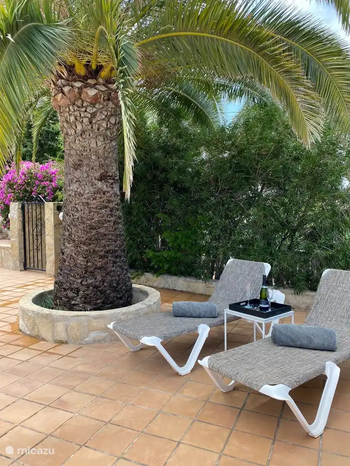 Mehrere Orte zum Sonnenbaden oder Schlafengehen (vor der Renovierung der Terrasse) 