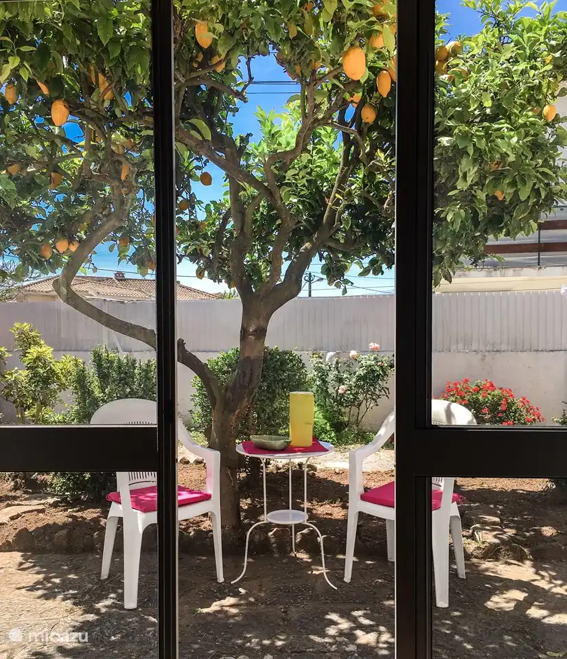 Rent Lemon tree house in Estoril, Lisabon Coast. Micazu