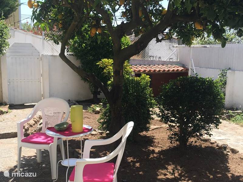 Holiday home in Portugal, Lisabon Coast, Estoril Apartment Lemon tree house