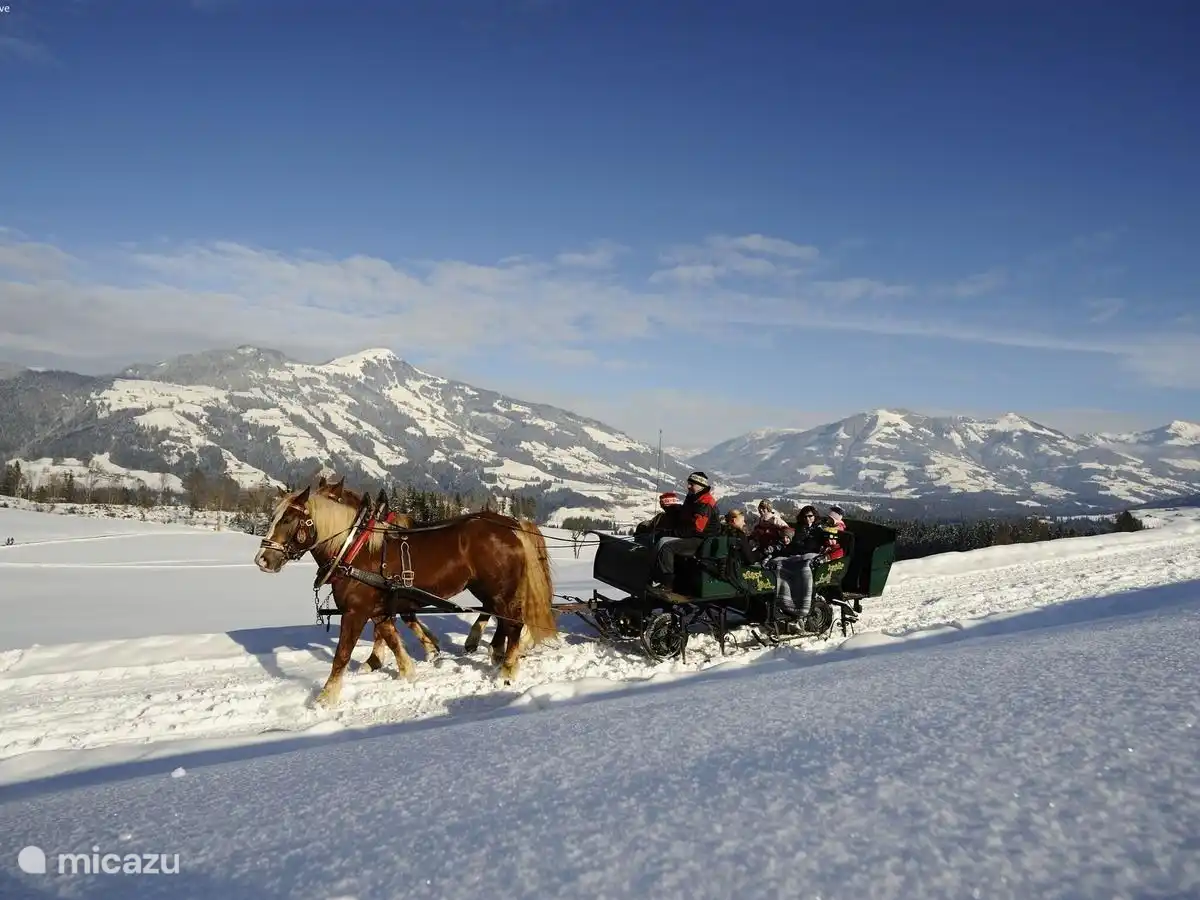 Arrenslee tochten maken in een prachtig winterlandschap 