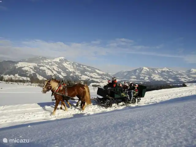 Residencia Brixental Top 7 en Austria, Tirol, Brixen im Thale - apartamento Paseos en trineos tirados por caballos en un hermoso paisaje invernal