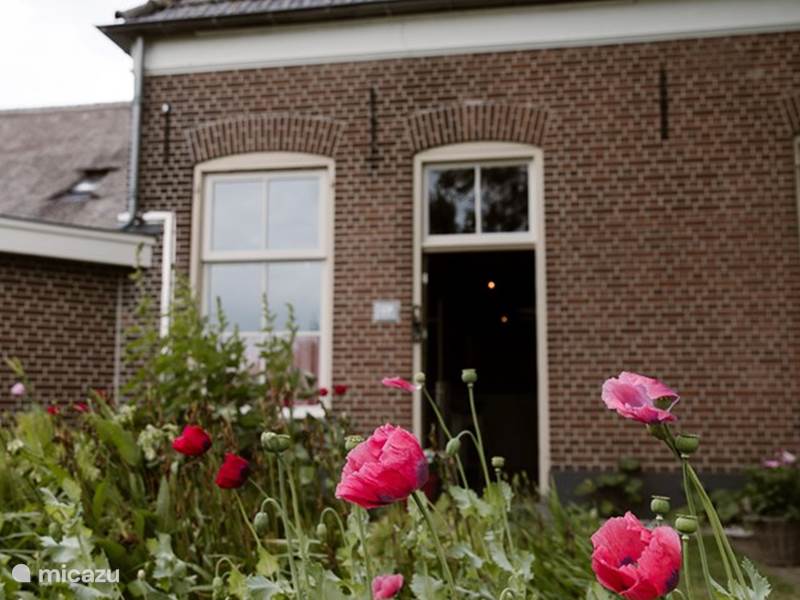 Maison de Vacances Pays-Bas, Overijssel, Olst Ferme Séjourner au Droste 11A