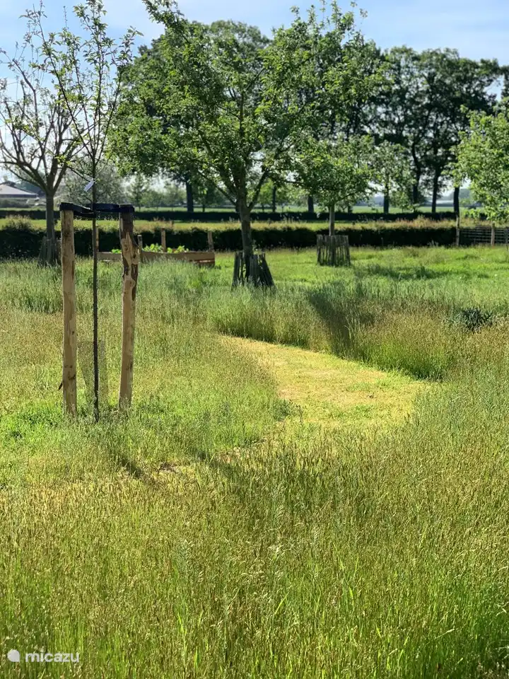 Teil eines der Obstgärten.